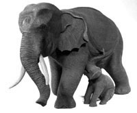 Elefantenkuh mit Baby