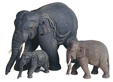 Gruppe aus mehreren Elefanten